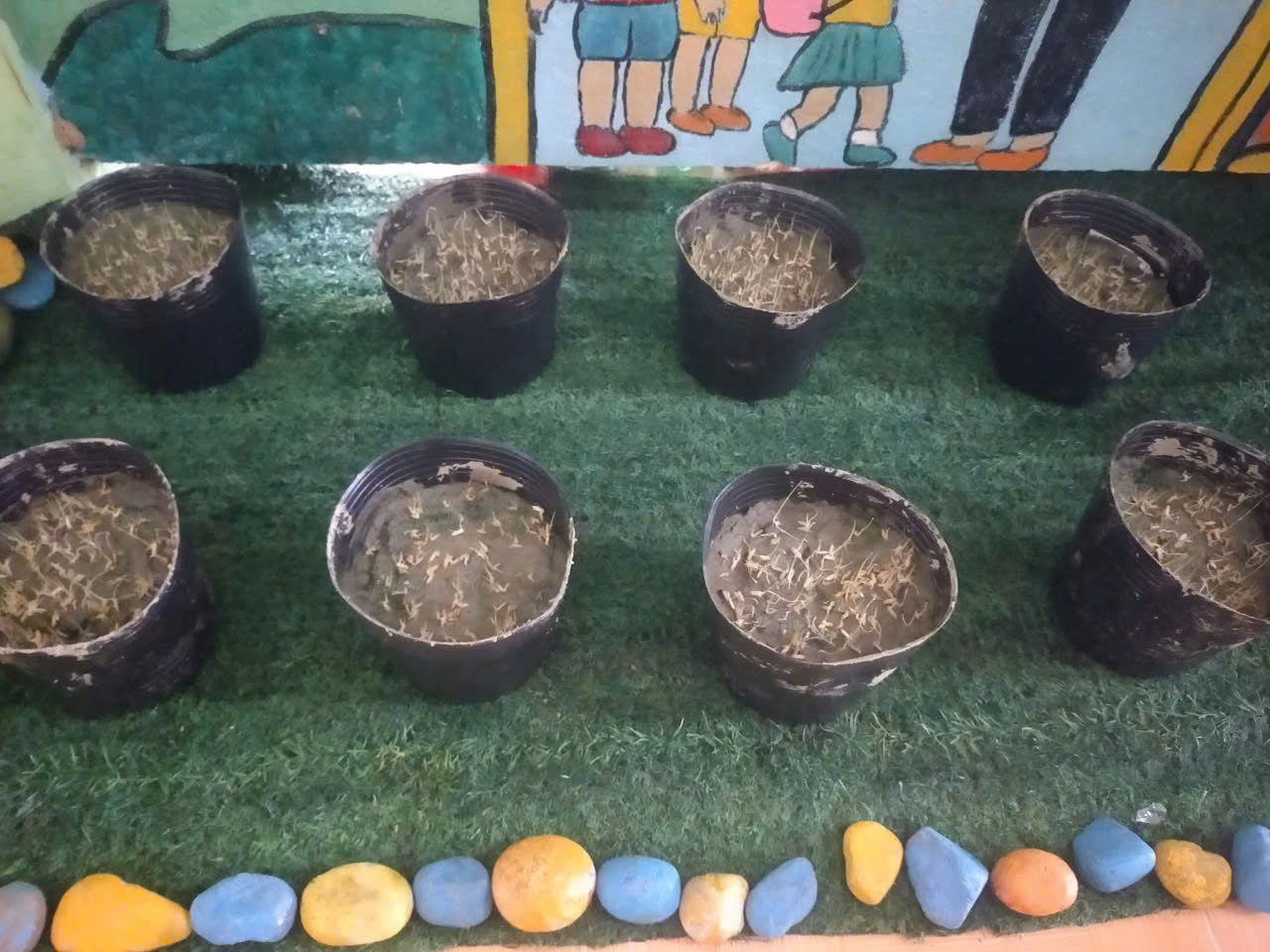 z7218495509945 ad7e8f624476bc25fcc529da00e9bcde