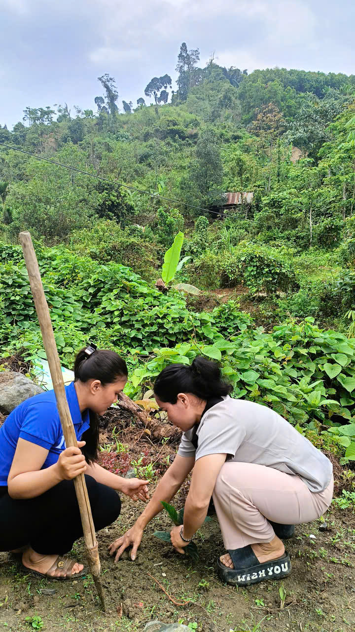 z7608202970177 f4d7f1898caa610568367c726597f555